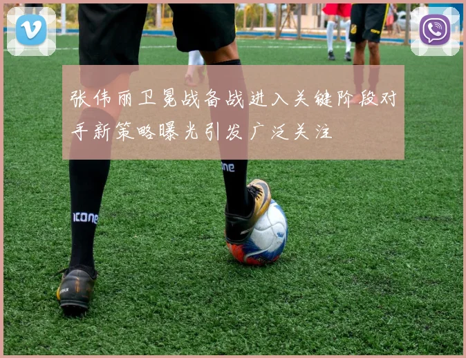 张伟丽卫冕战备战进入关键阶段对手新策略曝光引发广泛关注